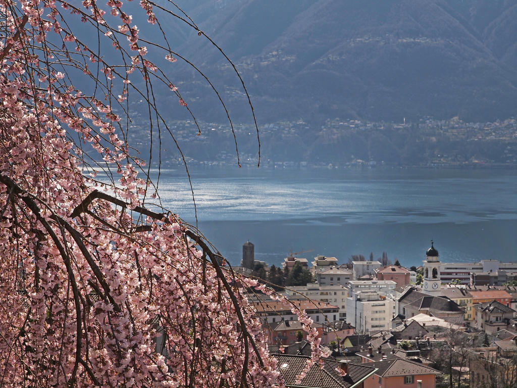 Casa Sibylle Bei Locarno Apartment Exterior photo